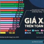 32047a937bda9284cbcb