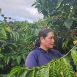 32ce5e9e5dd7b489edc6