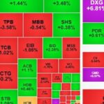 335f597070399967c028