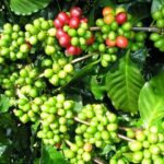 36ae365a3613df4d8602