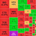 37ba995d9f14764a2f05