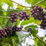 384ca323a06a4934107b