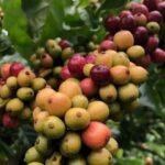 39d9761f76569f08c647