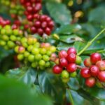 3aaf01151a5cf302aa4d