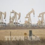 3b1a212f3166d8388177