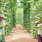 3b2804e308aae1f4b8bb