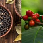 3f16b072a73b4e65172a