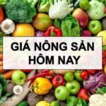 40a1636e6f278679df36