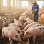 40c4fb658d2c64723d3d