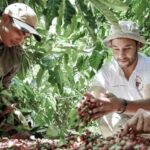 40f7f0128e5b67053e4a