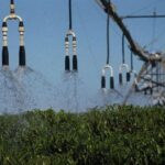 411aa9a8ace145bf1cf0