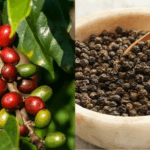 42315f7d2a34c36a9a25