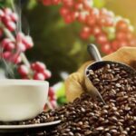 4237059576dc9f82c6cd