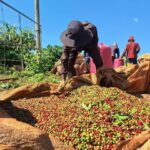 4357099b05d2ec8cb5c3