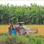 438f50cd5484bddae495