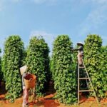 43bba554a01d4943100c