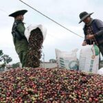 451069e367aa8ef4d7bb