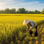 4593ff7fd7363e686727