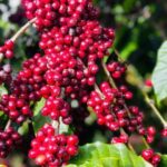 45969a63902a7974203b