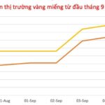 47bdd80cc6452f1b7654