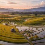 47dacc29d3603a3e6371