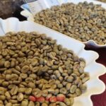 48267a4e79079059c916