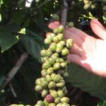 4b0b91ff84b66de834a7