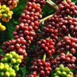 4b2d59c85a81b3dfea90