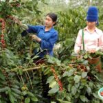 4f1f64536c1a8544dc0b