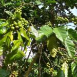 4f7eb9a2bbeb52b50bfa