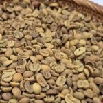 4f9b239b5ed2b78ceec3