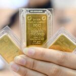 50a2bd1db2545b0a0245