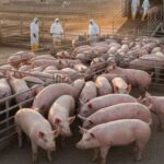 54a0dbfbdeb237ec6ea3