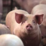 5557ebfc90b579eb20a4