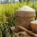 58a95b1e5057b909e046