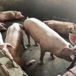 593c8547f00e1950401f