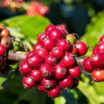 59d60477033eea60b32f