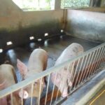 5ba3f4cf988671d82897