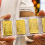 5d23648e79c79099c9d6