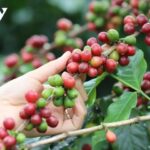 5d63b7e6a2af4bf112be