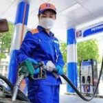 5f678f02f34b1a15435a