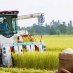 613f43f233bbdae583aa