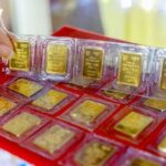 63c7d959dc10354e6c01