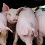 679b1137027eeb20b26f