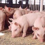 67ea55c95880b1dee891