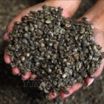 67f5aea2aceb45b51cfa