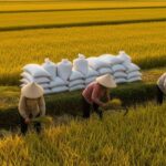 6871e8e7ecae05f05cbf