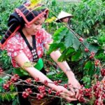 6a971ddc66958fcbd684