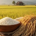 6cd9e684eacd03935adc