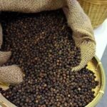 6f10f4bf8df664a83de7